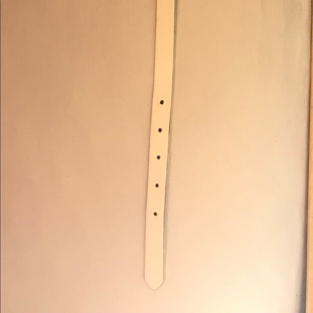 Belt